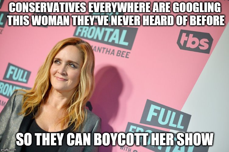 Samantha Bee Naughty | CONSERVATIVES EVERYWHERE ARE GOOGLING THIS WOMAN THEY'VE NEVER HEARD OF BEFORE; SO THEY CAN BOYCOTT HER SHOW | image tagged in samantha bee,full frontal,tbs,freedom of speech,first amendment | made w/ Imgflip meme maker