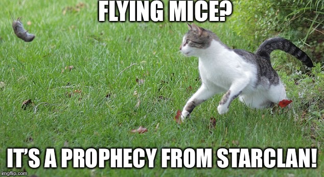 Warrior cat meme | FLYING MICE? IT’S A PROPHECY FROM STARCLAN! | image tagged in warrior cat meme | made w/ Imgflip meme maker