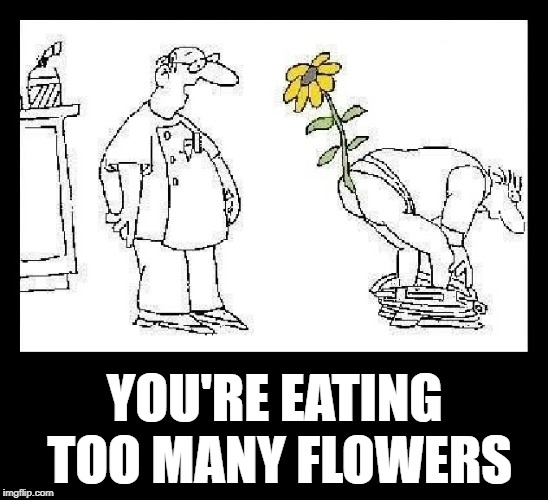 Some Vegans: too far?  Some Vegans, yes...  LOL | YOU'RE EATING TOO MANY FLOWERS | image tagged in funny memes,vegan,proctologist,doctor,meat | made w/ Imgflip meme maker