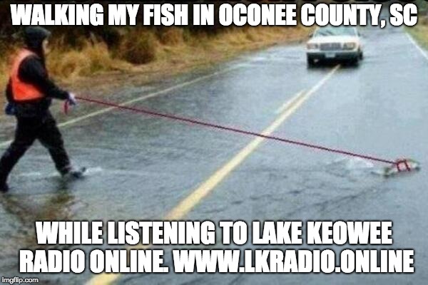 Walking my fish | WALKING MY FISH IN OCONEE COUNTY, SC; WHILE LISTENING TO LAKE KEOWEE RADIO ONLINE. WWW.LKRADIO.ONLINE | image tagged in walking my fish | made w/ Imgflip meme maker