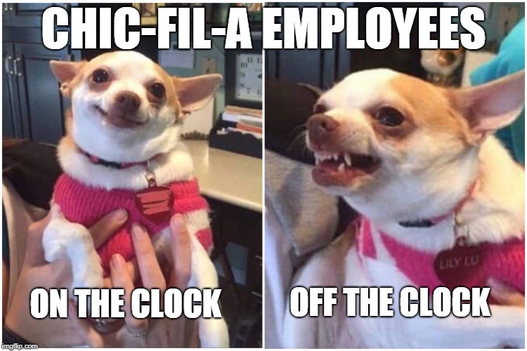 "My Pleasure"  | CHIC-FIL-A EMPLOYEES ON THE CLOCK OFF THE CLOCK | image tagged in happy chihuahua angry chihuahua,chick-fil-a,memes | made w/ Imgflip meme maker
