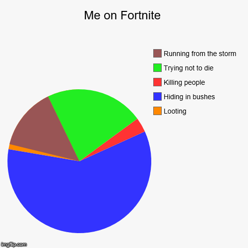 Me on Fortnite | Looting, Hiding in bushes, Killing people, Trying not to die, Running from the storm | image tagged in funny,pie charts | made w/ Imgflip chart maker