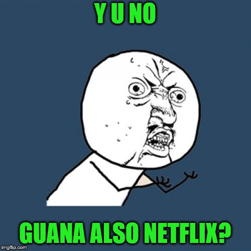 Y U No Meme | Y U NO GUANA ALSO NETFLIX? | image tagged in memes,y u no | made w/ Imgflip meme maker