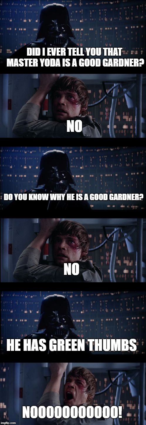 Star wars no No. 2 | DID I EVER TELL YOU THAT MASTER YODA IS A GOOD GARDNER? NO; DO YOU KNOW WHY HE IS A GOOD GARDNER? NO; HE HAS GREEN THUMBS; NOOOOOOOOOOO! | image tagged in star wars no no 2 | made w/ Imgflip meme maker