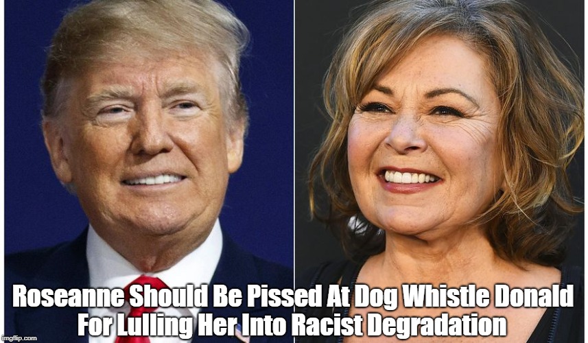 Roseanne Should Be Pissed At Dog Whistle Donald For Lulling Her Into Racist Degradation | made w/ Imgflip meme maker