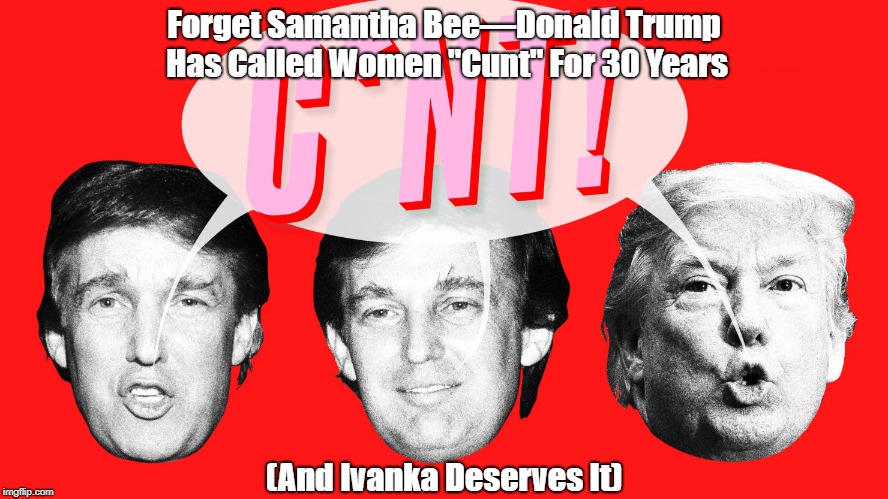 Forget Samantha Beeâ€”Donald Trump Has Called Women "C**t" For 30 Years (And Ivanka Deserves It) | made w/ Imgflip meme maker