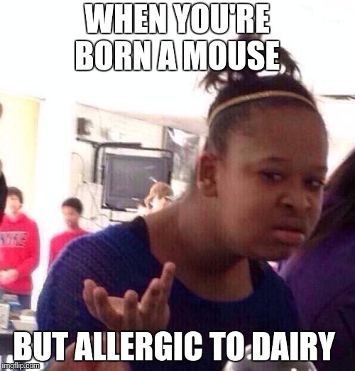 Black Girl Wat | WHEN YOU'RE BORN A MOUSE; BUT ALLERGIC TO DAIRY | image tagged in memes,black girl wat | made w/ Imgflip meme maker
