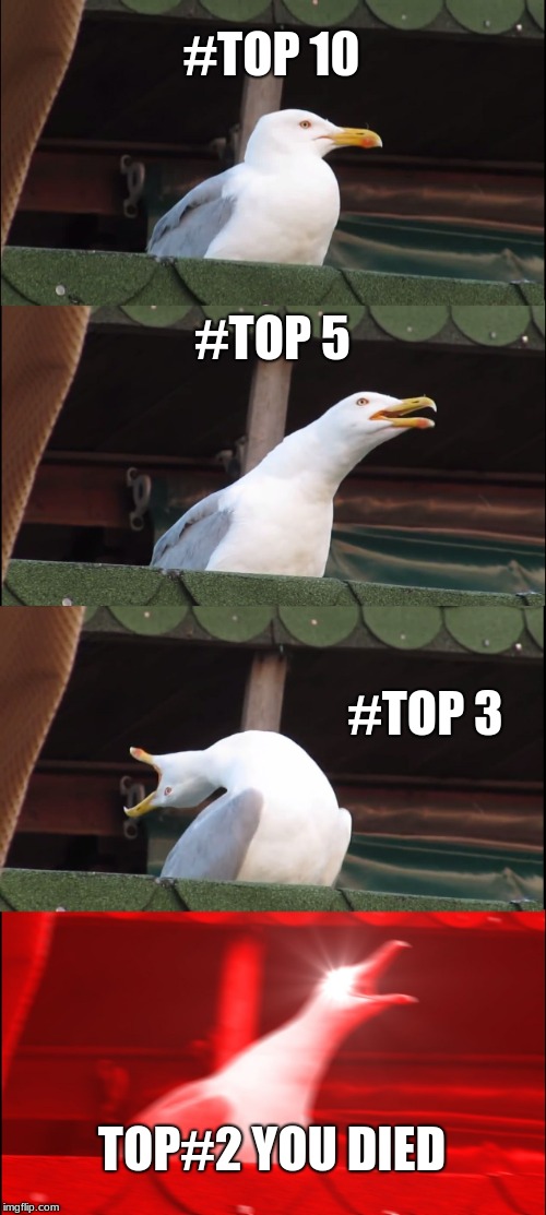 Inhaling Seagull Meme | #TOP 10; #TOP 5; #TOP 3; TOP#2 YOU DIED | image tagged in memes,inhaling seagull | made w/ Imgflip meme maker
