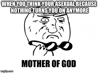 Mother Of God Meme | WHEN YOU THINK YOUR ASEXUAL BECAUSE NOTHING TURNS YOU ON ANYMORE | image tagged in memes,mother of god | made w/ Imgflip meme maker