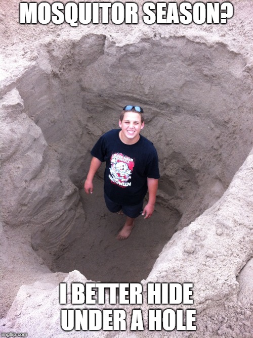 nothing but sand | MOSQUITOR SEASON? I BETTER HIDE UNDER A HOLE | image tagged in nothing but sand | made w/ Imgflip meme maker