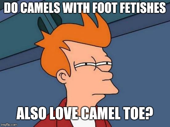 Futurama Fry Meme | DO CAMELS WITH FOOT FETISHES ALSO LOVE CAMEL TOE? | image tagged in memes,futurama fry | made w/ Imgflip meme maker