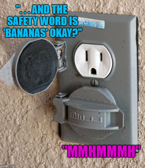 ". . . AND THE SAFETY WORD IS 'BANANAS' OKAY?" "MMHMMMH" | made w/ Imgflip meme maker