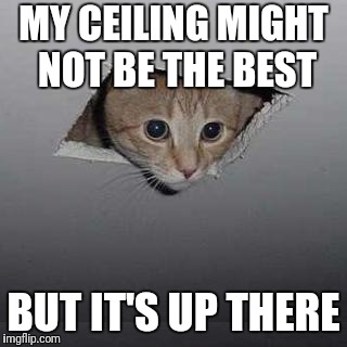 Ceiling Cat Meme | MY CEILING MIGHT NOT BE THE BEST; BUT IT'S UP THERE | image tagged in memes,ceiling cat | made w/ Imgflip meme maker