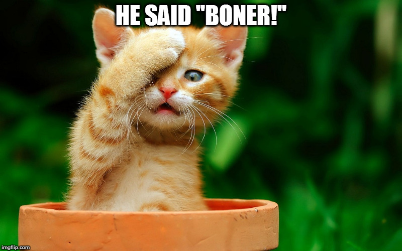 I JUST REALIZED | HE SAID "BONER!" | image tagged in i just realized | made w/ Imgflip meme maker