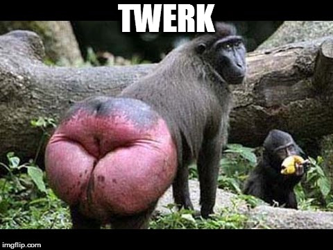 oblivious female | TWERK | image tagged in oblivious female | made w/ Imgflip meme maker