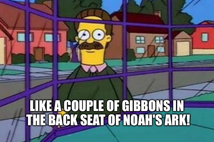 LIKE A COUPLE OF GIBBONS IN THE BACK SEAT OF NOAH'S ARK! | made w/ Imgflip meme maker