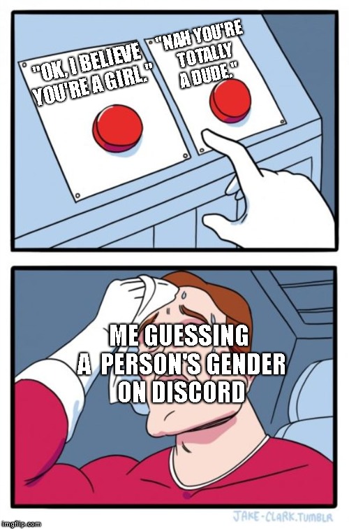 Two Buttons Meme | "NAH YOU'RE TOTALLY A DUDE."; "OK, I BELIEVE YOU'RE A GIRL."; ME GUESSING A  PERSON'S GENDER ON DISCORD | image tagged in memes,two buttons | made w/ Imgflip meme maker