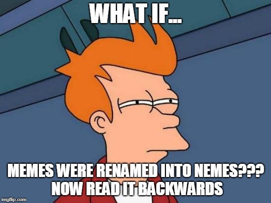 Futurama Fry Meme | WHAT IF... MEMES WERE RENAMED INTO NEMES??? NOW READ IT BACKWARDS | image tagged in memes,futurama fry | made w/ Imgflip meme maker