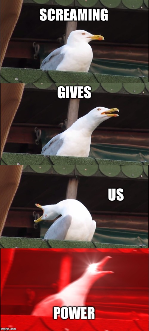 Inhaling Seagull | SCREAMING; GIVES; US; POWER | image tagged in memes,inhaling seagull | made w/ Imgflip meme maker