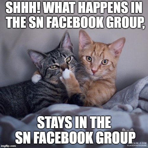 SHHH cat | SHHH! WHAT HAPPENS IN THE SN FACEBOOK GROUP, STAYS IN THE SN FACEBOOK GROUP | image tagged in shhh cat | made w/ Imgflip meme maker