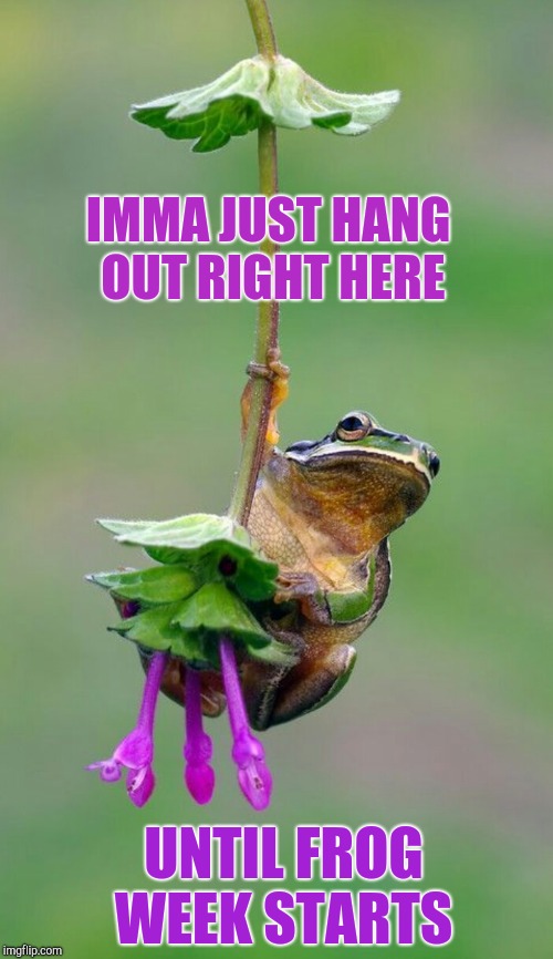 Frog Week, June 4-10, a JBmemegeek & giveuahint event! | IMMA JUST HANG OUT RIGHT HERE; UNTIL FROG WEEK STARTS | image tagged in jbmemegeek,frog week,frogs,memes,funny animals | made w/ Imgflip meme maker