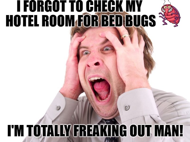 Freaking Out about Bed Bugs | I FORGOT TO CHECK MY HOTEL ROOM FOR BED BUGS; I'M TOTALLY FREAKING OUT MAN! | image tagged in stress head freaking out,stress,freak,bed,bugs,worry | made w/ Imgflip meme maker