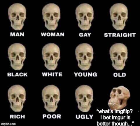 Different Type of Skulls | “what’s imgflip? I bet imgur is better though...” | image tagged in different type of skulls | made w/ Imgflip meme maker
