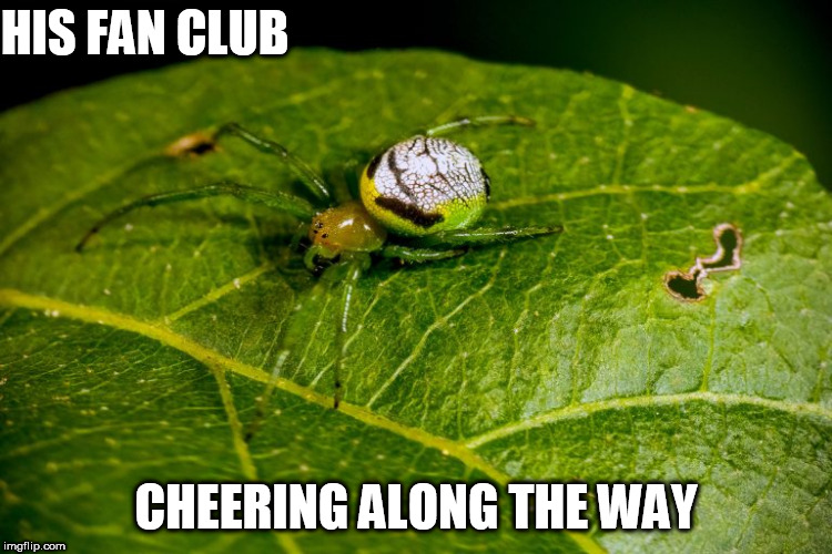 HIS FAN CLUB CHEERING ALONG THE WAY | made w/ Imgflip meme maker