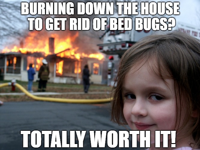 Burning Down the House for Bed Bugs | BURNING DOWN THE HOUSE TO GET RID OF BED BUGS? TOTALLY WORTH IT! | image tagged in house fire child,burning,bed bugs,fire,worth it | made w/ Imgflip meme maker