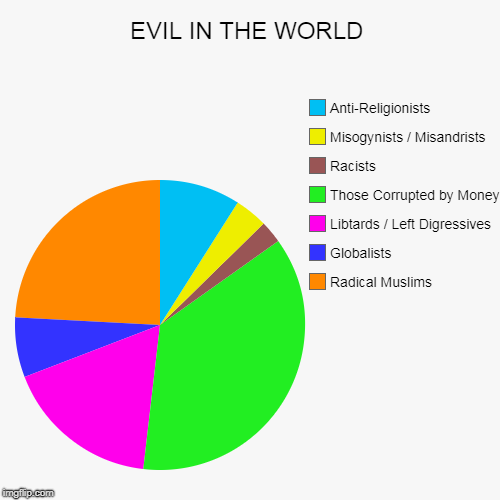 This How It Is | EVIL IN THE WORLD | Radical Muslims, Globalists, Libtards / Left Digressives, Those Corrupted by Money, Racists, Misogynists / Misandrists,  | image tagged in funny,pie charts,truth,mxm | made w/ Imgflip chart maker