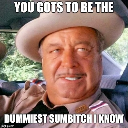 Sheriff Buford T. Justice You Sum Bitch | YOU GOTS TO BE THE; DUMMIEST SUMBITCH I KNOW | image tagged in sheriff buford t justice you sum bitch | made w/ Imgflip meme maker