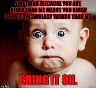 Baby and Vocab | YOU THINK ZEECAUSE YOU ARE OLDER THAN ME MEANS YOU KNOW BIGGER VOCABULARY WORDS THAN ME. BRING IT ON. | image tagged in memes,funny | made w/ Imgflip meme maker