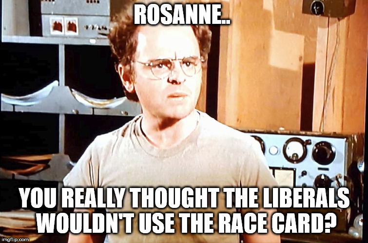 Rosanne | ROSANNE.. YOU REALLY THOUGHT THE LIBERALS WOULDN'T USE THE RACE CARD? | image tagged in funny | made w/ Imgflip meme maker