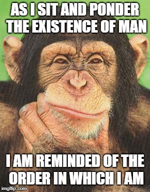    | AS I SIT AND PONDER THE EXISTENCE OF MAN; I AM REMINDED OF THE ORDER IN WHICH I AM | image tagged in chimpanzee thinking | made w/ Imgflip meme maker