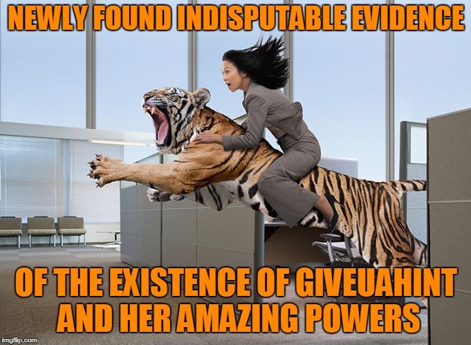 I knew it!!! | NEWLY FOUND INDISPUTABLE EVIDENCE; OF THE EXISTENCE OF GIVEUAHINT AND HER AMAZING POWERS | image tagged in memes,giveuahint,imgflip user,tiger | made w/ Imgflip meme maker