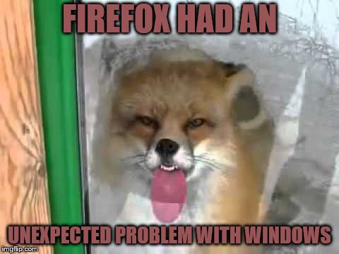 FIREFOX HAD AN; UNEXPECTED PROBLEM WITH WINDOWS | image tagged in firefox and windows | made w/ Imgflip meme maker