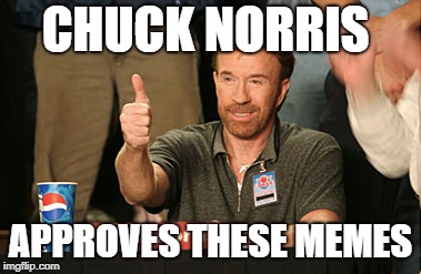 Chuck Norris Approves Meme | CHUCK NORRIS; APPROVES THESE MEMES | image tagged in memes,chuck norris approves,chuck norris | made w/ Imgflip meme maker