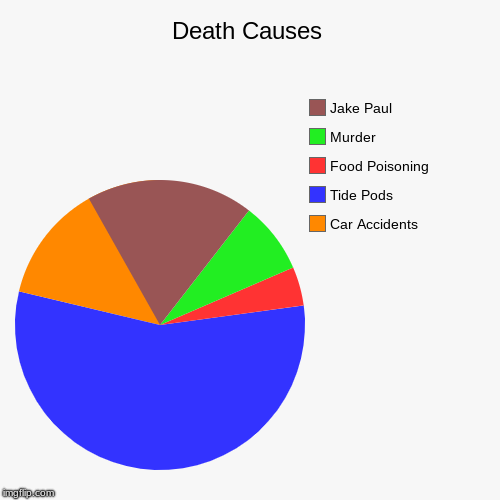 Death Causes | Death Causes | Car Accidents, Tide Pods, Food Poisoning, Murder, Jake Paul | image tagged in funny,pie charts,murder,tide pods,jake paul,car accident | made w/ Imgflip chart maker