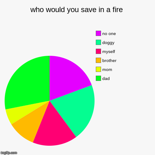 who would you save in a fire | dad, mom, brother, myself, doggy, no one | image tagged in funny,pie charts | made w/ Imgflip chart maker