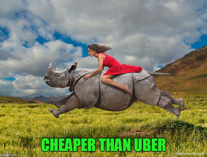 CHEAPER THAN UBER | made w/ Imgflip meme maker