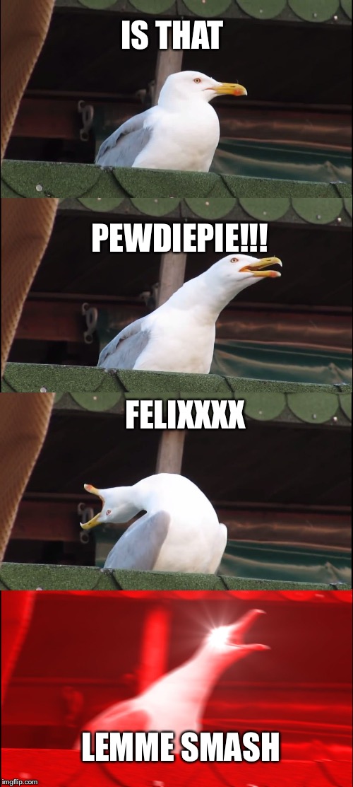 Inhaling Seagull Meme | IS THAT; PEWDIEPIE!!! FELIXXXX; LEMME SMASH | image tagged in memes,inhaling seagull | made w/ Imgflip meme maker