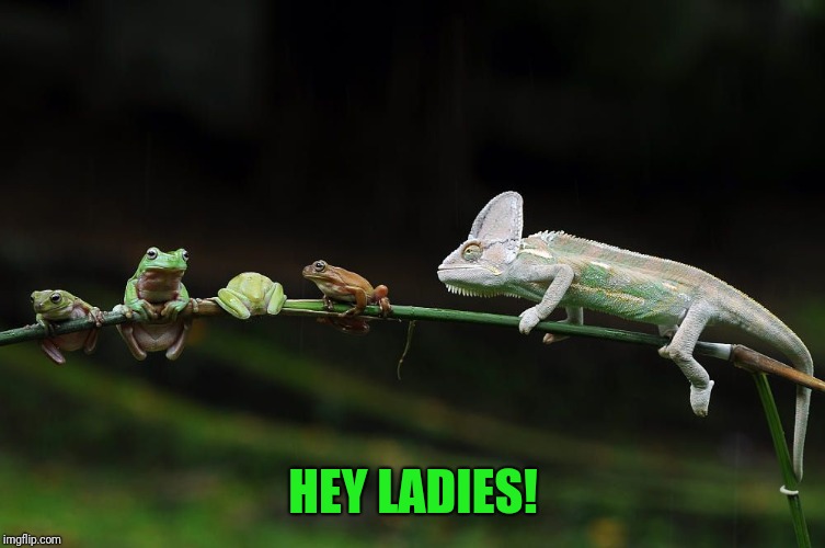 HEY LADIES! | made w/ Imgflip meme maker