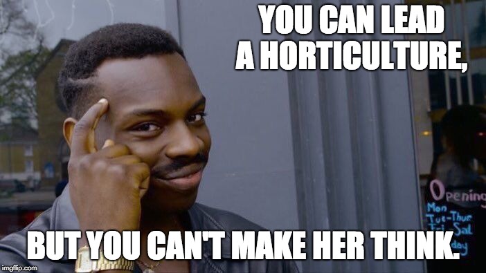 Roll Safe Think About It Meme | YOU CAN LEAD A HORTICULTURE, BUT YOU CAN'T MAKE HER THINK. | image tagged in memes,roll safe think about it | made w/ Imgflip meme maker