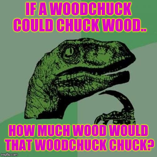 Keeps me up at night | IF A WOODCHUCK COULD CHUCK WOOD.. HOW MUCH WOOD WOULD THAT WOODCHUCK CHUCK? | image tagged in memes,philosoraptor | made w/ Imgflip meme maker