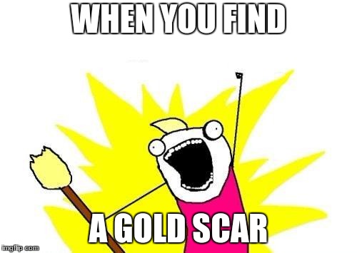 X All The Y Meme | WHEN YOU FIND; A GOLD SCAR | image tagged in memes,x all the y | made w/ Imgflip meme maker