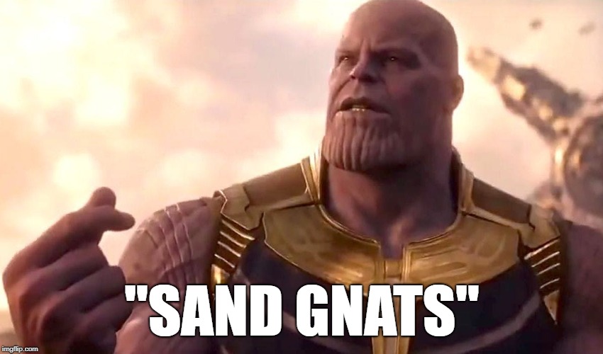 thanos snap | "SAND GNATS" | image tagged in thanos snap | made w/ Imgflip meme maker