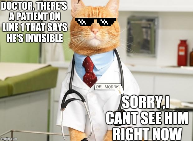 Cat Doctor | DOCTOR, THERE'S A PATIENT ON LINE 1 THAT SAYS HE'S INVISIBLE; SORRY,I CANT SEE HIM RIGHT NOW | image tagged in cat doctor,scumbag | made w/ Imgflip meme maker
