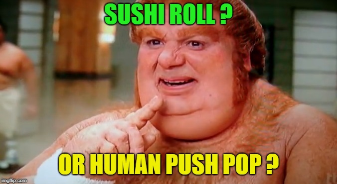 fat | SUSHI ROLL ? OR HUMAN PUSH POP ? | image tagged in fat | made w/ Imgflip meme maker