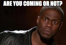Kevin Hart Meme | ARE YOU COMING OR NOT? | image tagged in memes,kevin hart the hell | made w/ Imgflip meme maker