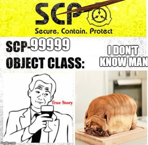 975t454gr4cnc b4 gr vn v v./.v//bgrjedfs | I DON'T KNOW MAN; 99999 | image tagged in scp sign generator,scumbag,scp,memes,dogs,true story | made w/ Imgflip meme maker